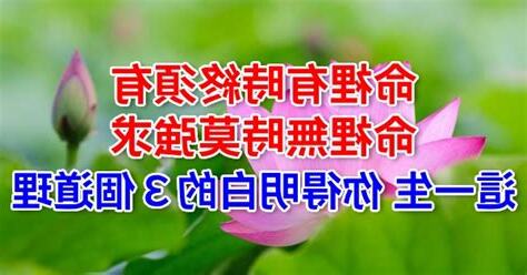 命裡有時終須有 命裡無時莫強求意思